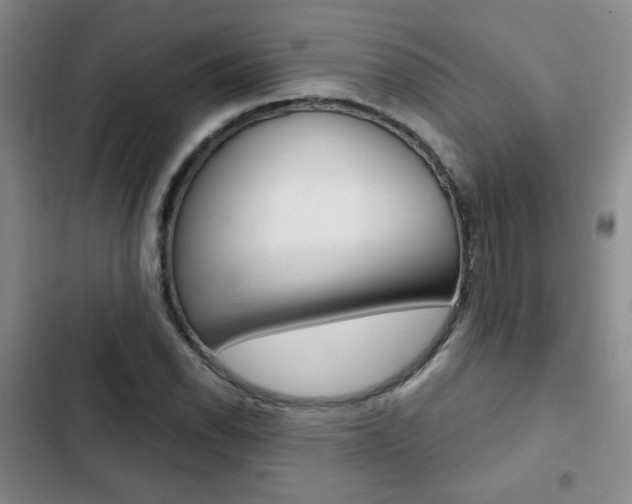 X0000102821118200808181018