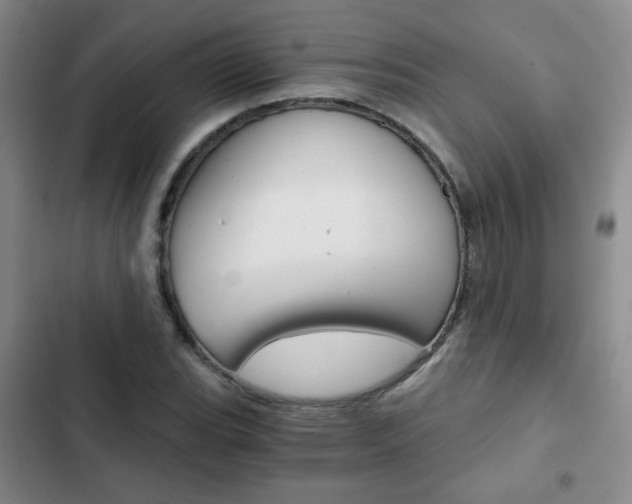 X0000102821119200808181018