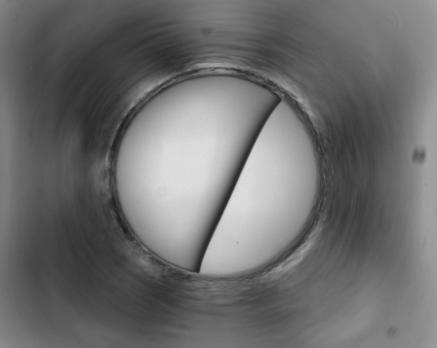 X0000102821121200808181018