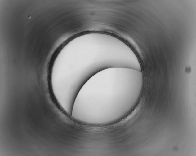 X0000102821122200808181018