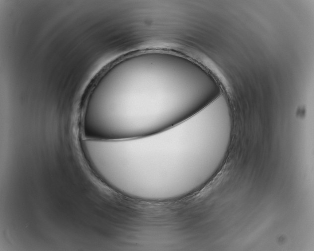 X0000102821124200808181018