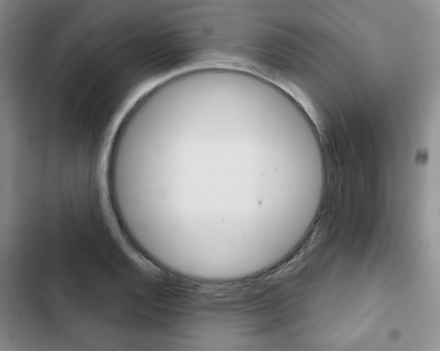 X0000102821128200808181018