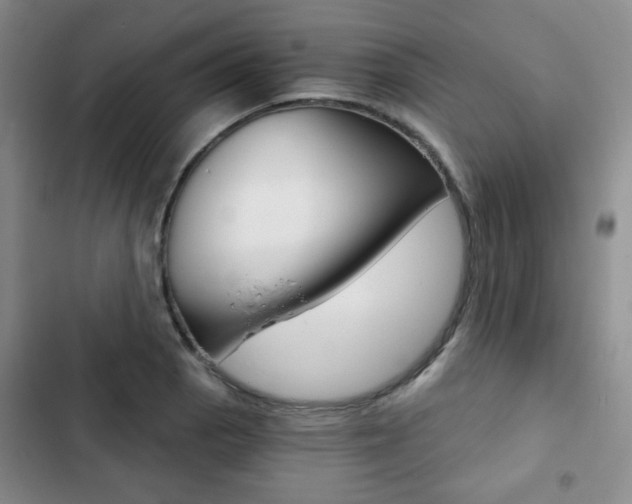 X0000102821129200808181018