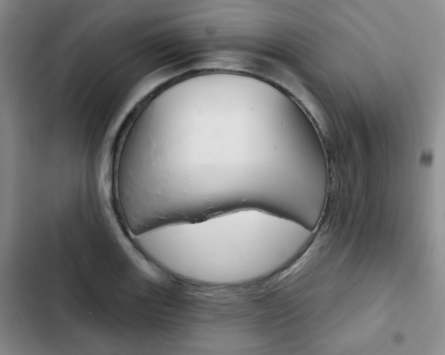 X0000102821131200808181018