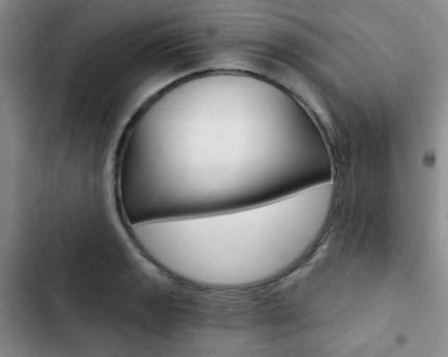 X0000102821133200808181018