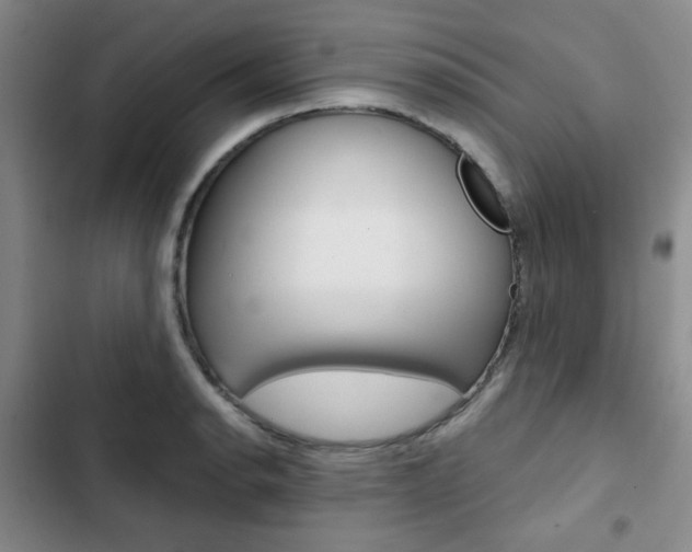 X0000102821134200808181018