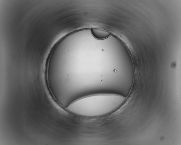 X0000102821135200808181018