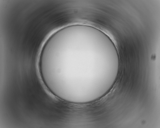 X0000102821136200808181018