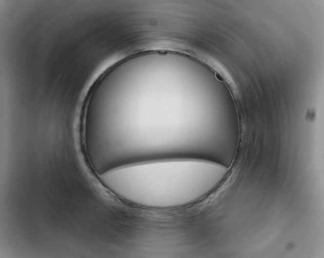 X0000102821138200808181019