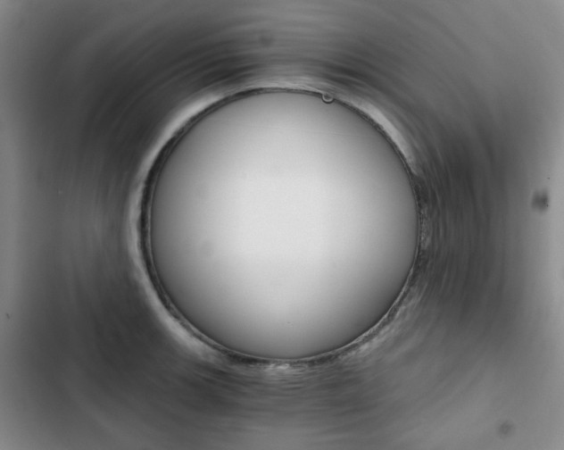 X0000102821139200808181019