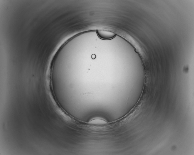 X0000102821140200808181019