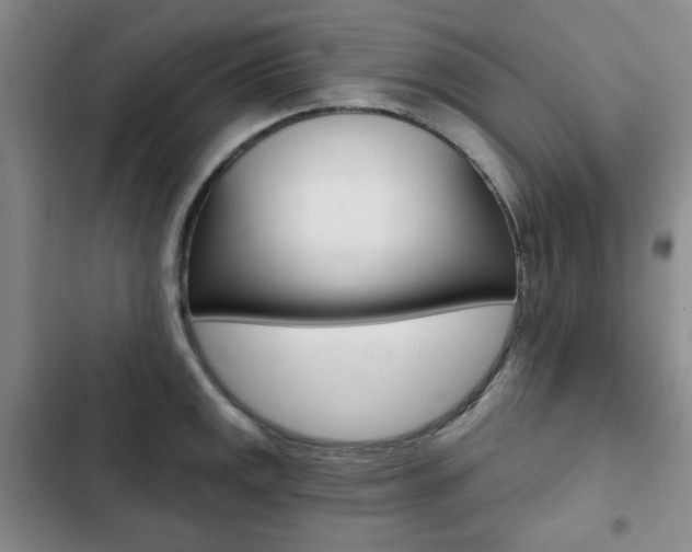 X0000102821141200808181019