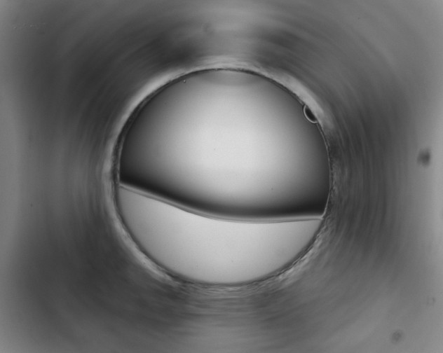 X0000102821142200808181019