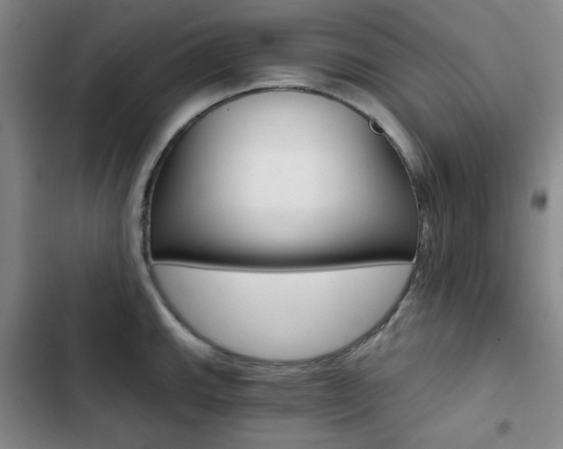 X0000102821143200808181019