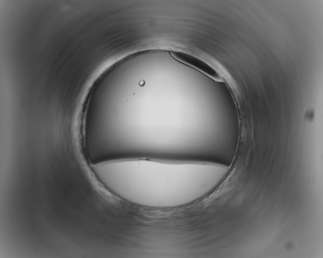 X0000102821144200808181019