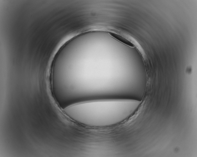 X0000102821146200808181019