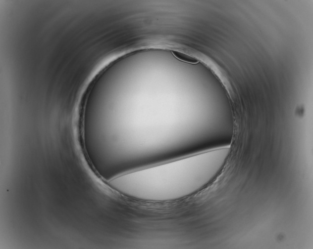 X0000102821147200808181019