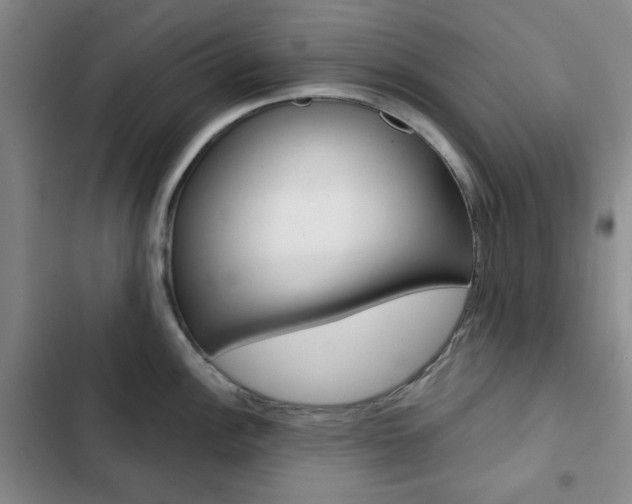 X0000102821148200808181019
