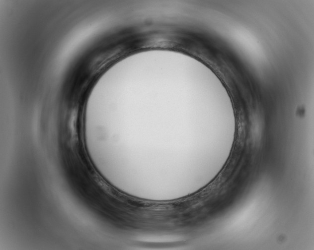 X0000102821150200808181019
