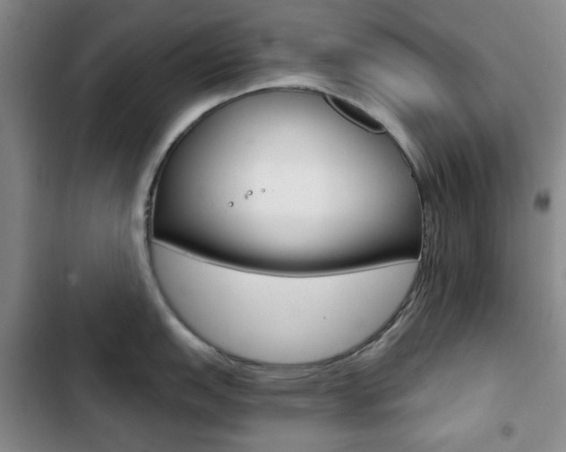 X0000102821151200808181019