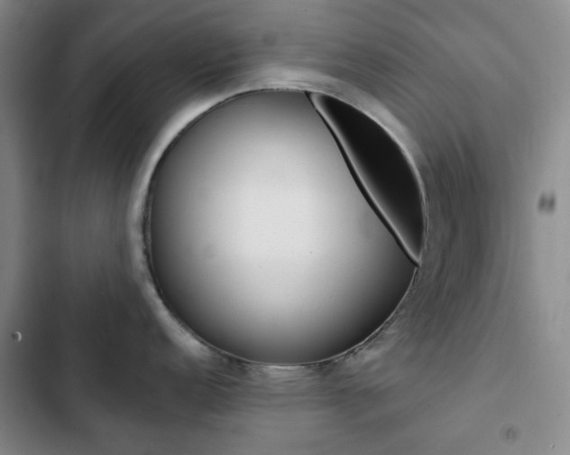 X0000102821152200808181019