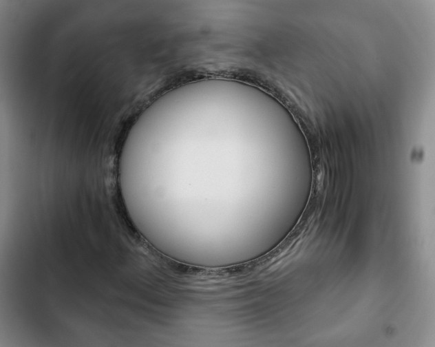 X0000102821156200808181018
