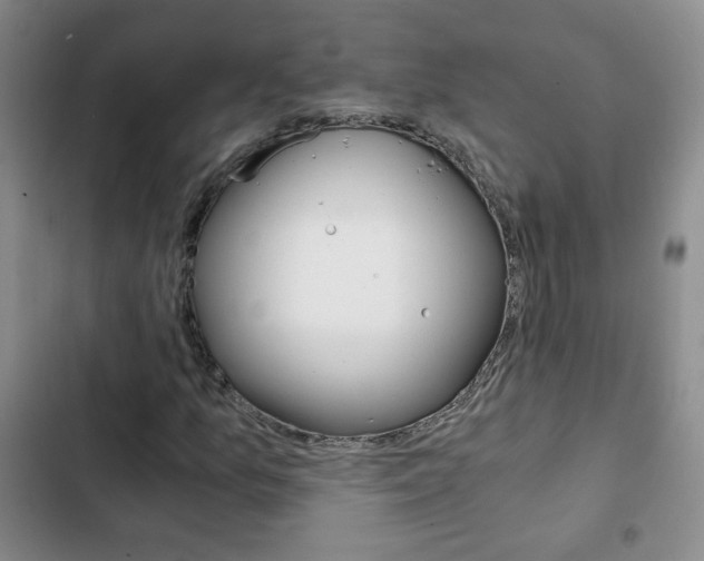 X0000102821157200808181018