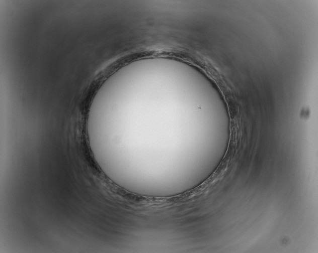 X0000102821158200808181018
