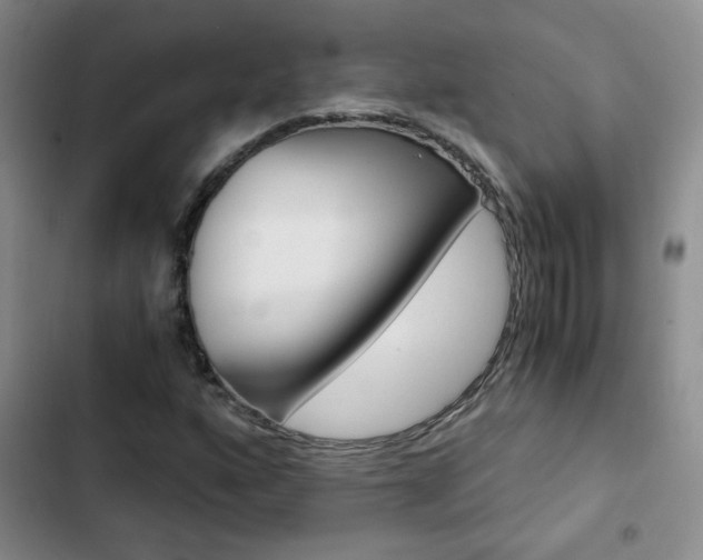 X0000102821160200808181018