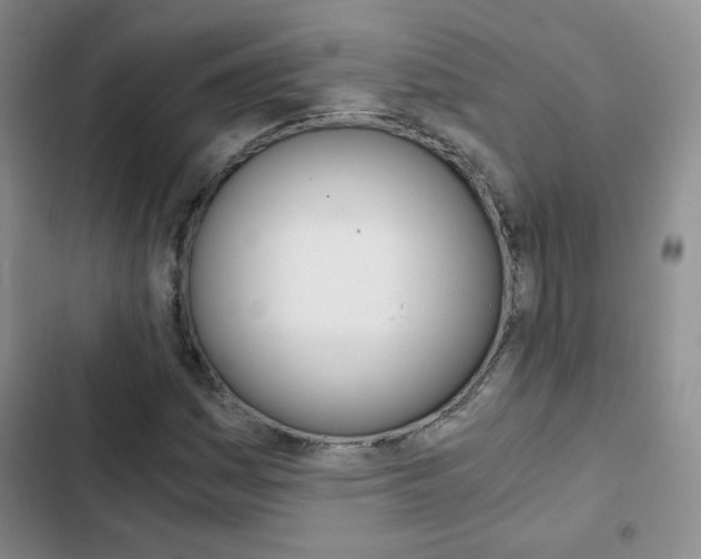 X0000102821161200808181018