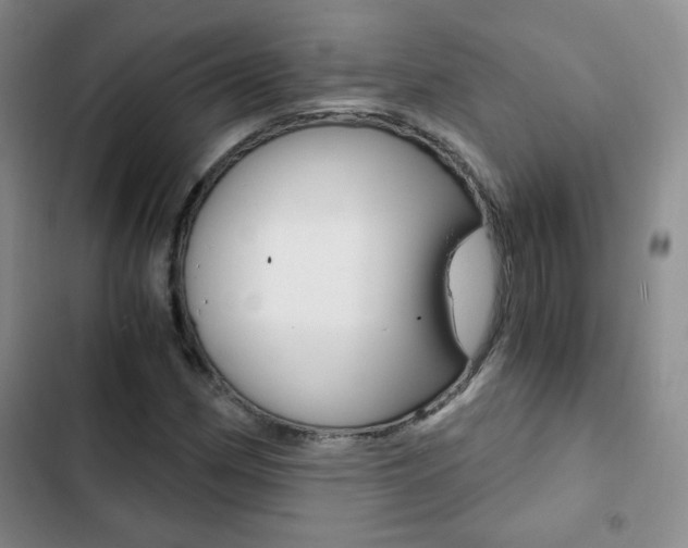 X0000102821162200808181018