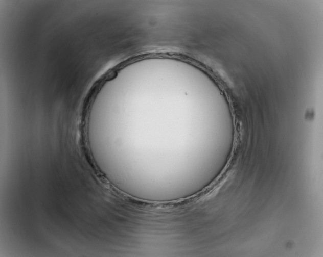 X0000102821165200808181018