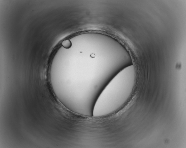 X0000102821166200808181018
