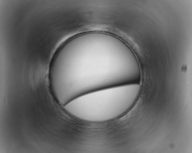 X0000102821174200808181018