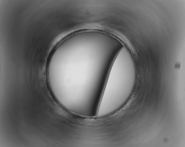 X0000102821176200808181018