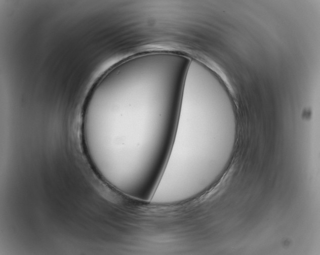 X0000102821179200808181018