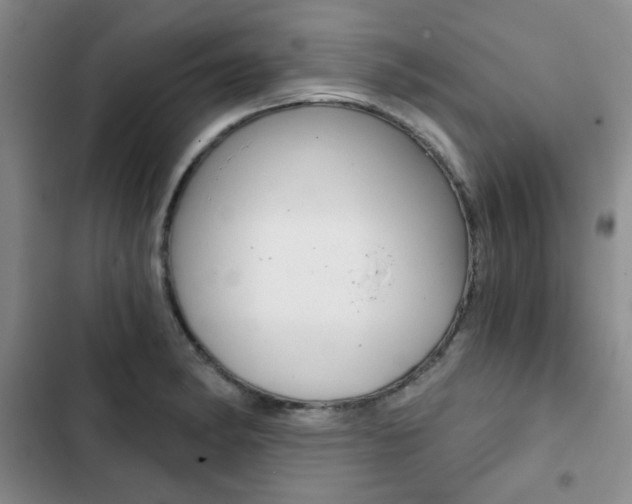 X0000102821182200808181018