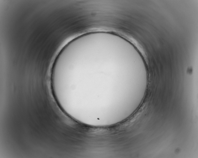 X0000102821187200808181018