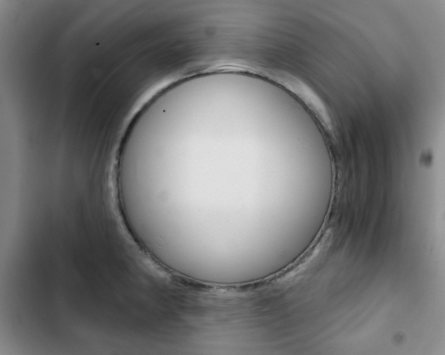 X0000102821190200808181017