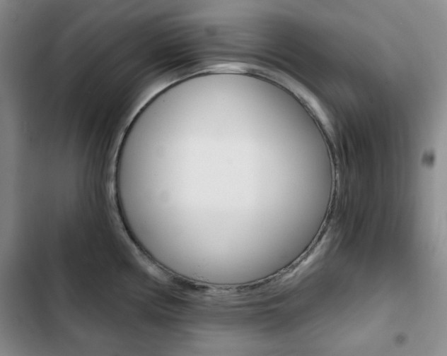 X0000102821194200808181017