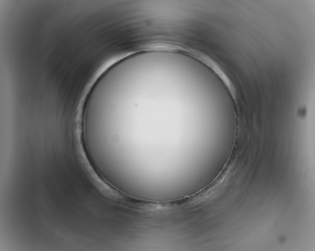 X0000102821195200808181017