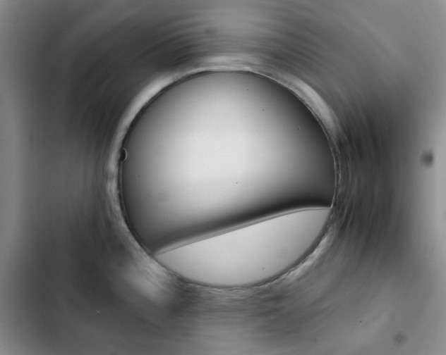 X0000102821196200808181017