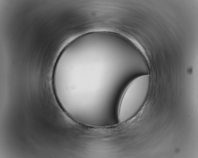 X0000102821197200808181017