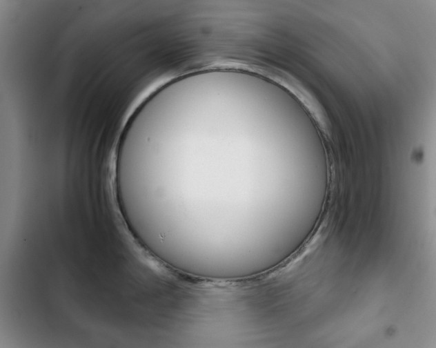 X0000102821198200808181017