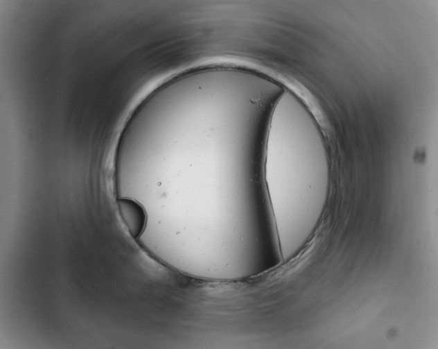 X0000102821199200808181017