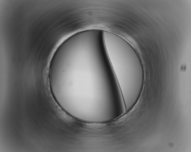 X0000102821200200808181017