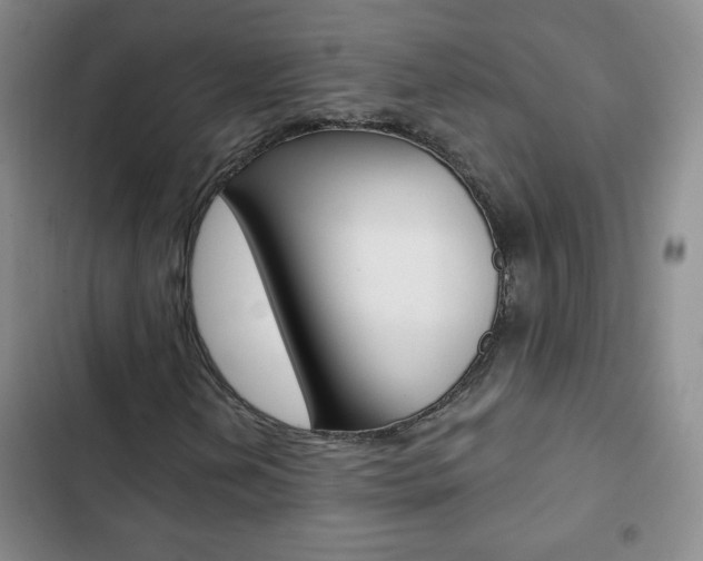 X0000102821202200808181017