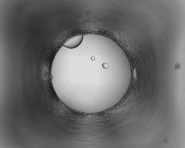 X0000102821203200808181017