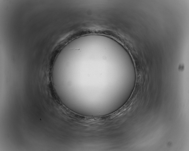 X0000102821205200808181017