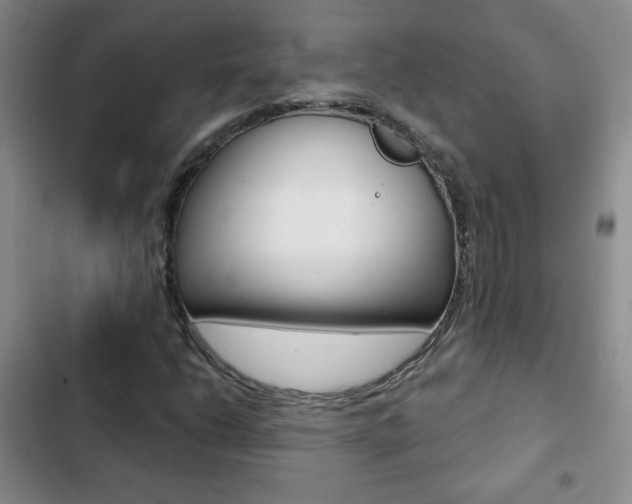 X0000102821206200808181017